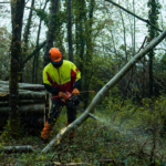 Publication_Instagram2